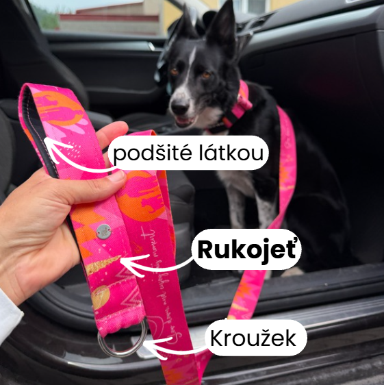 klasické vodítko